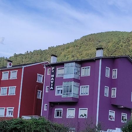 Pension Navia A Pontenova Exterior foto
